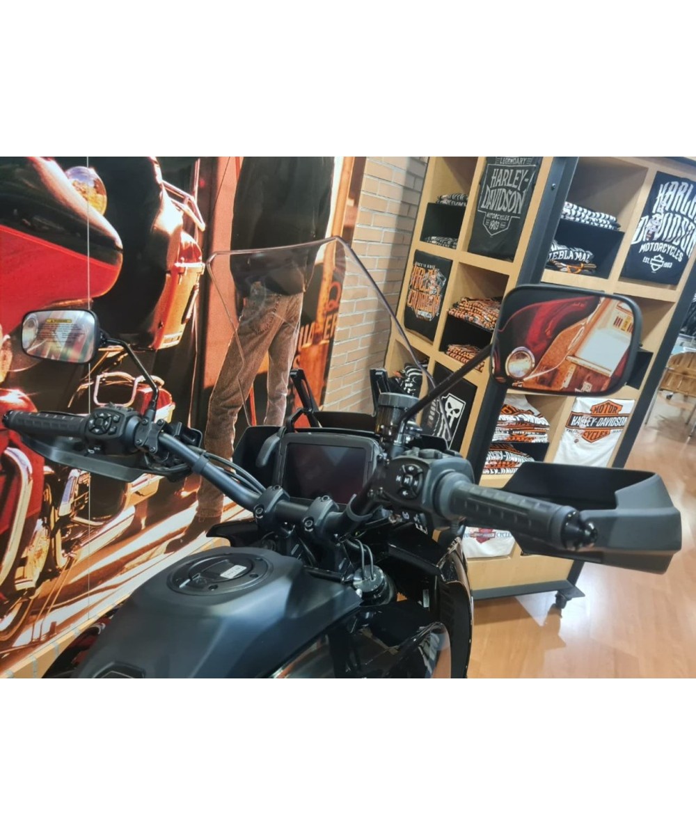 Harley‑Davidson 2024 | Revolution Max 1250 | 20.890€