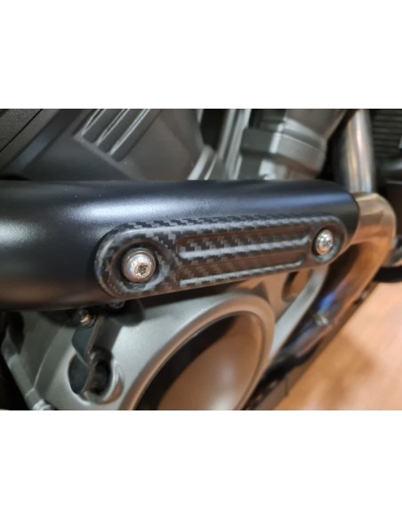 HARLEY DAVIDSON Pan America 1250 Special en Siebla