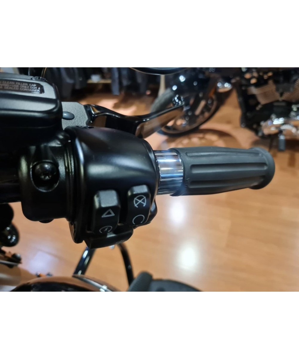 HARLEY DAVIDSON Heritage Classic en Siebla