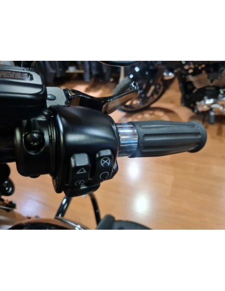 Harley‑Davidson Heritage Classic 2023 | 6.037 km | Motor 114 | 25.490€