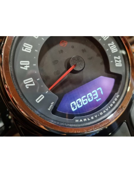 HARLEY DAVIDSON Heritage Classic en Siebla