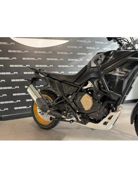VOGE DS800 Rally en Málaga | 2026 | Equipamiento premium | 7.888€
