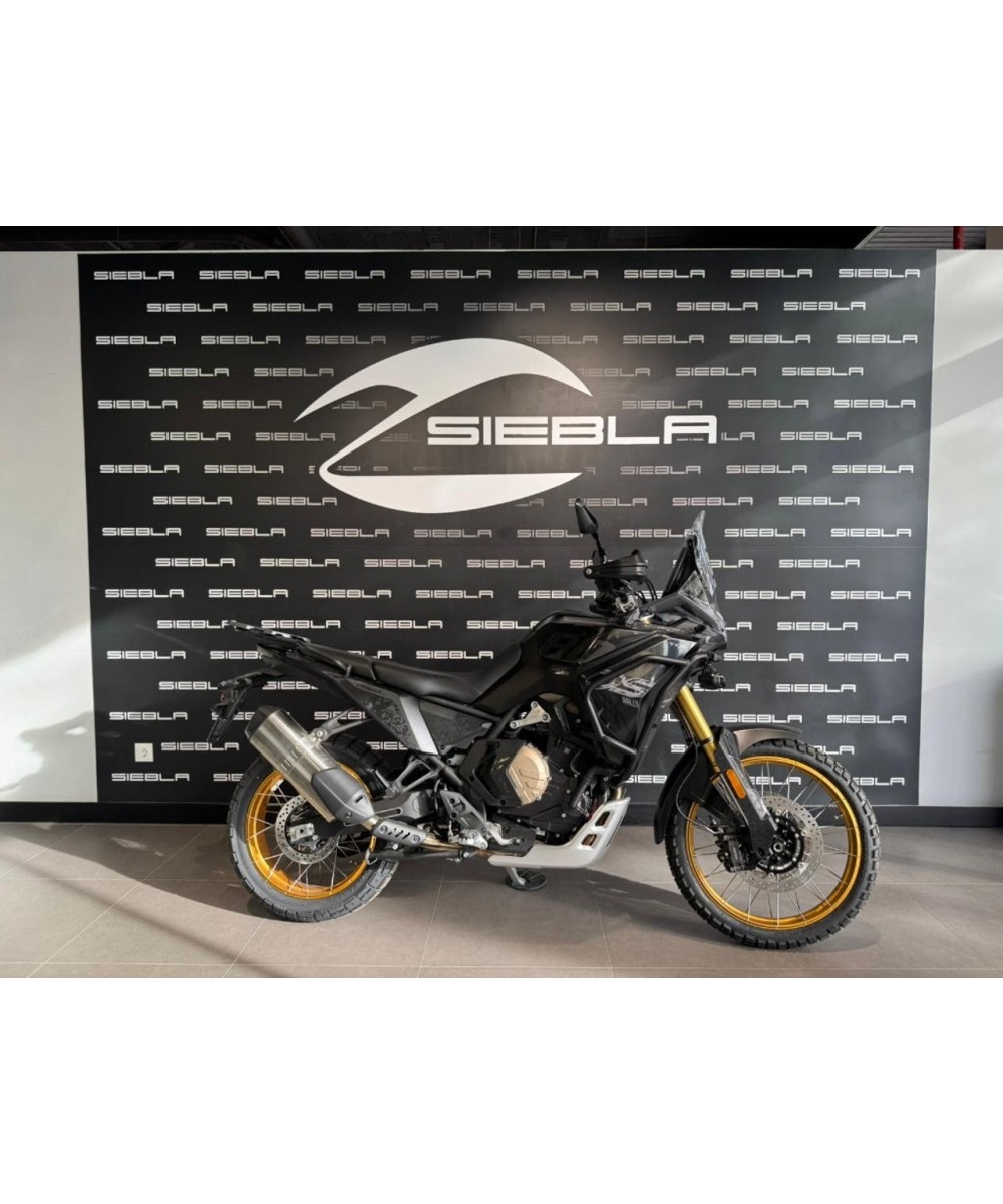 VOGE DS800 Rally en Málaga | 2026 | Equipamiento premium | 7.888€