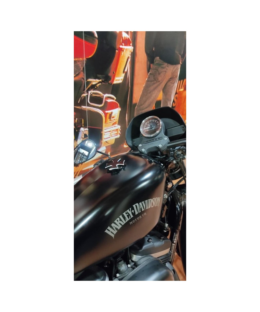 HARLEY DAVIDSON Sportster 883 Iron en Siebla