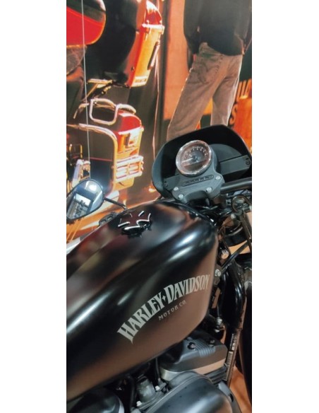 HARLEY DAVIDSON Sportster 883 Iron en Siebla
