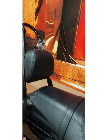 HARLEY DAVIDSON Sportster 883 Iron en Siebla