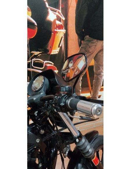 Harley-Davidson Iron 883 2016 en Málaga | 31.700 km | 9.290€