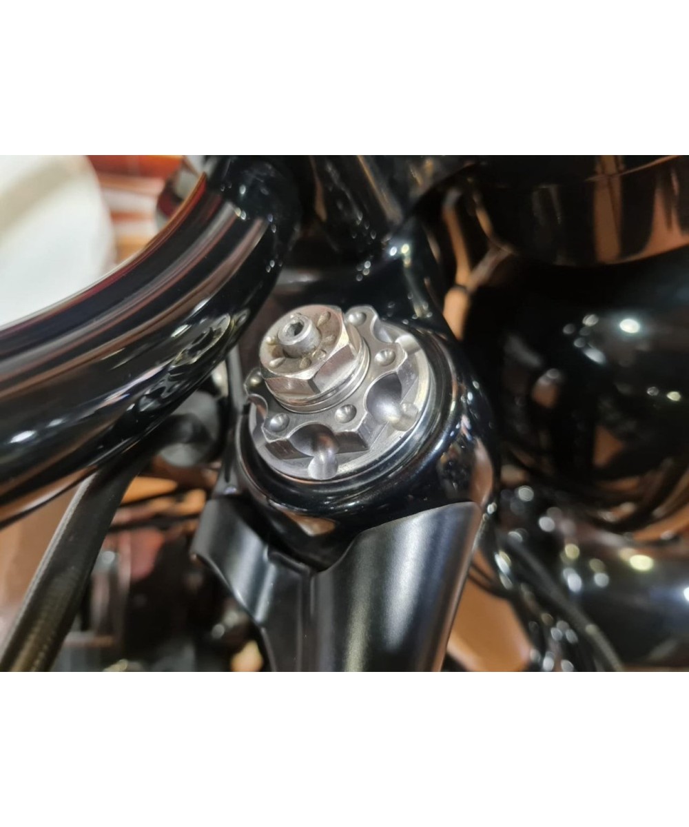 Harley-Davidson Forty-Eight 2015 | 37.950 km | Preparada | 12.490€