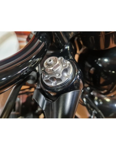 Harley-Davidson Forty-Eight 2015 | 37.950 km | Preparada | 12.490€